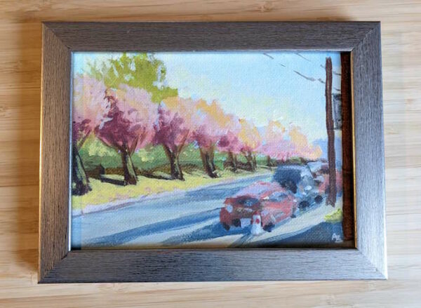 Late Afternoon Cherry Blossoms (original)